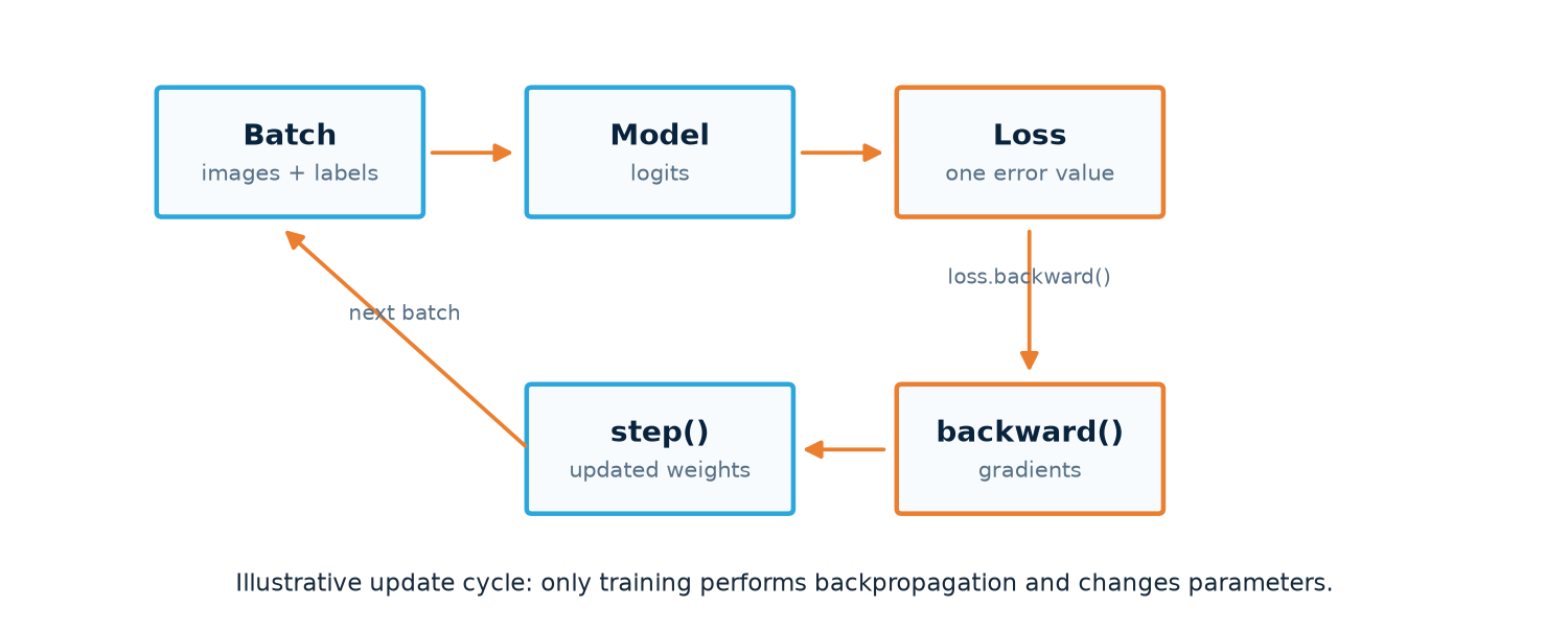 Conceptual diagram showing a batch moving through model, logits, loss, gradients, and an optimizer update
